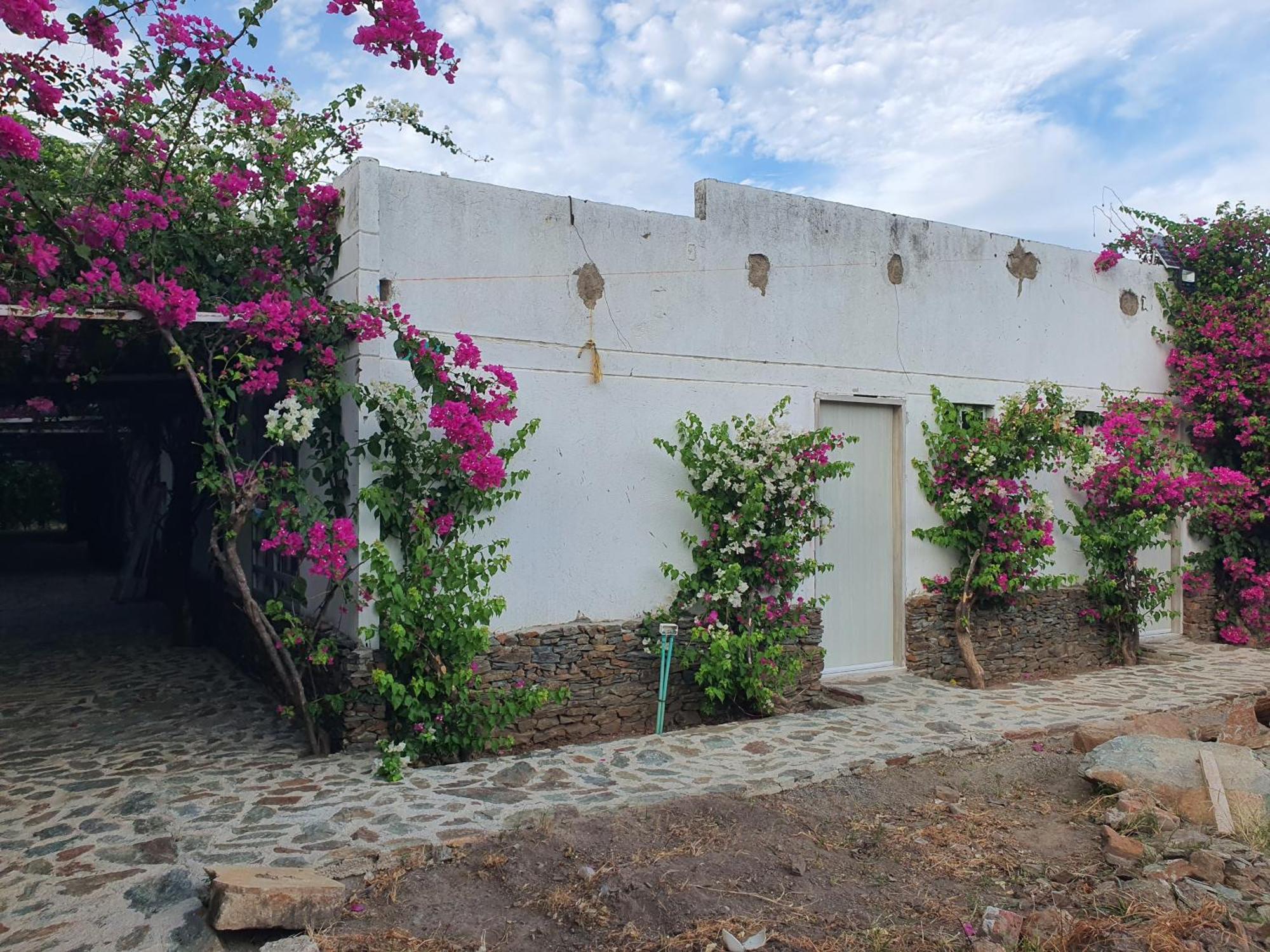 Hotel Tayrona Bahia Concha Kültér fotó