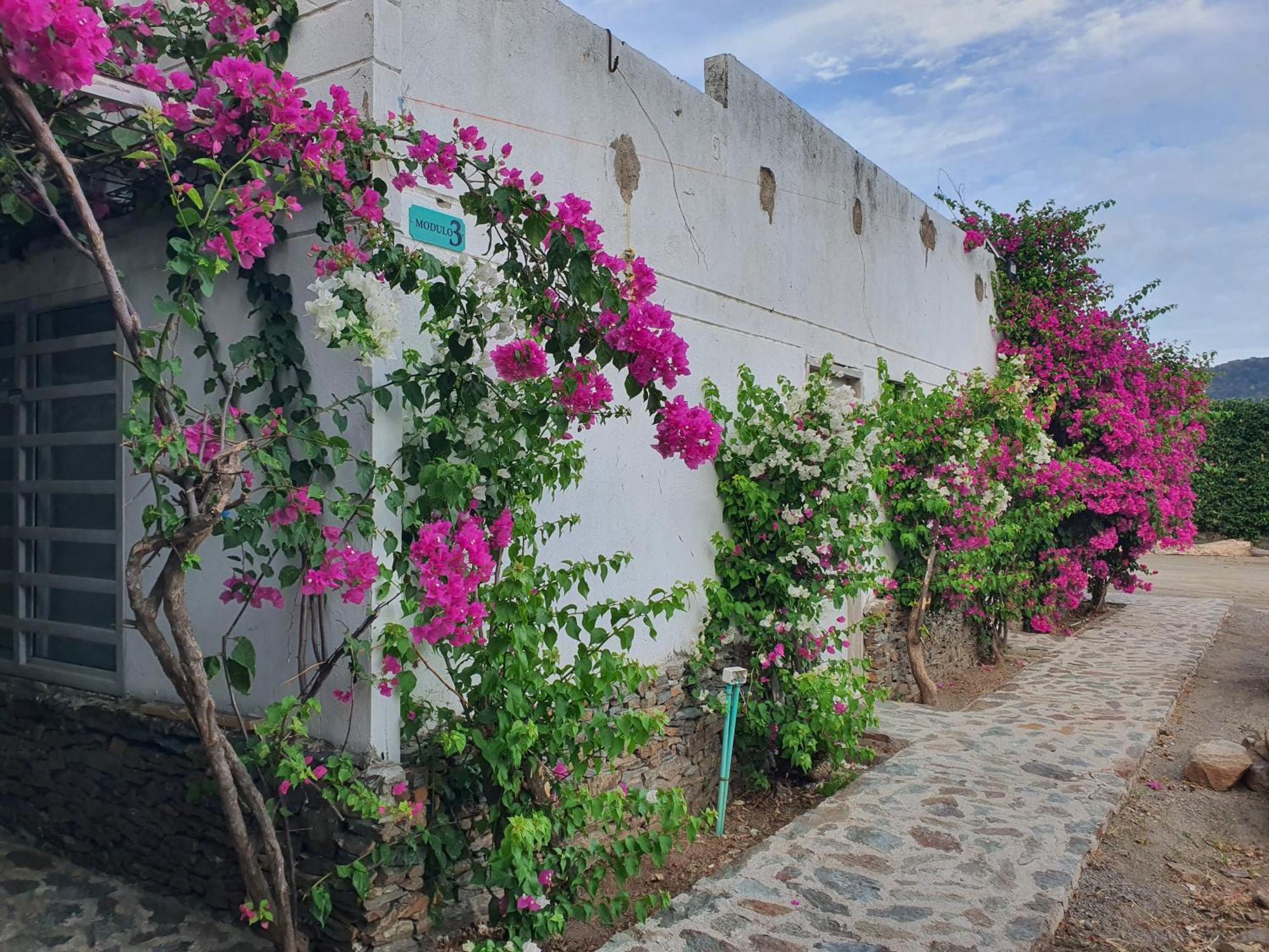 Hotel Tayrona Bahia Concha Kültér fotó