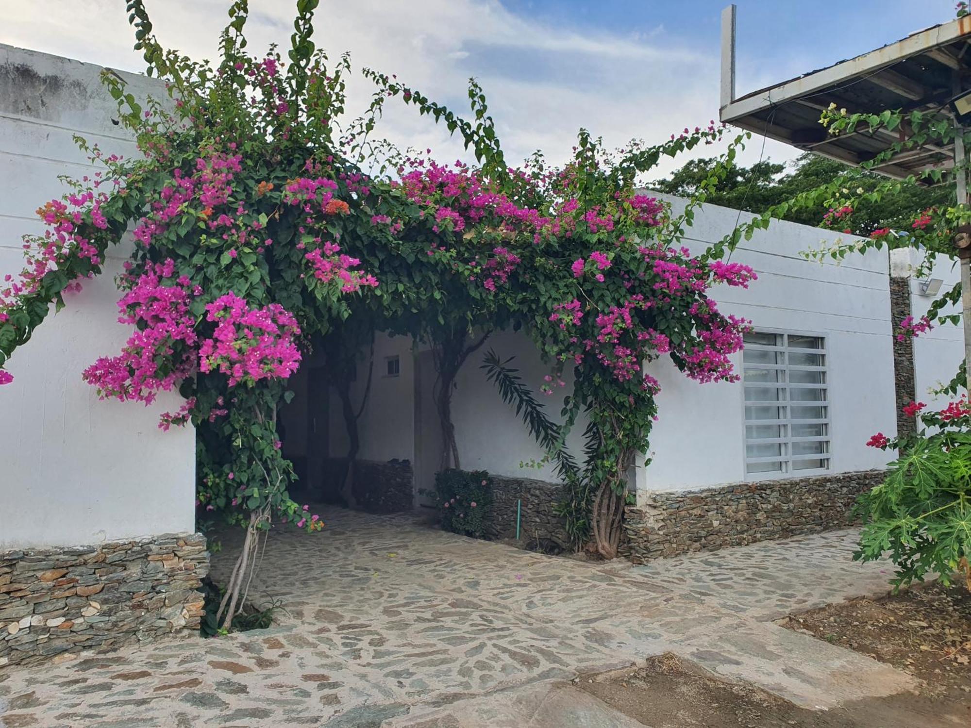 Hotel Tayrona Bahia Concha Kültér fotó